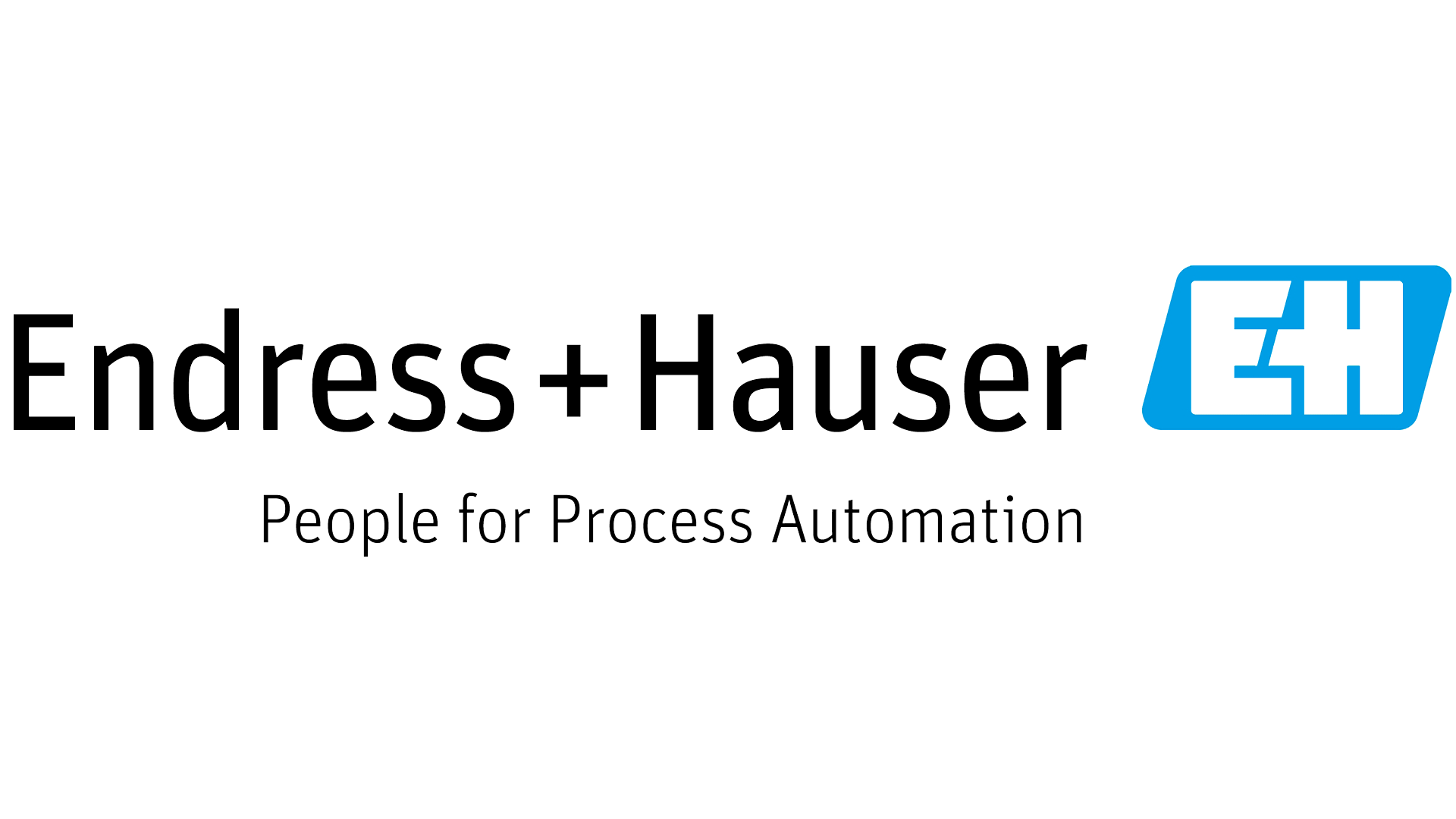 ENDRESS HAUSER